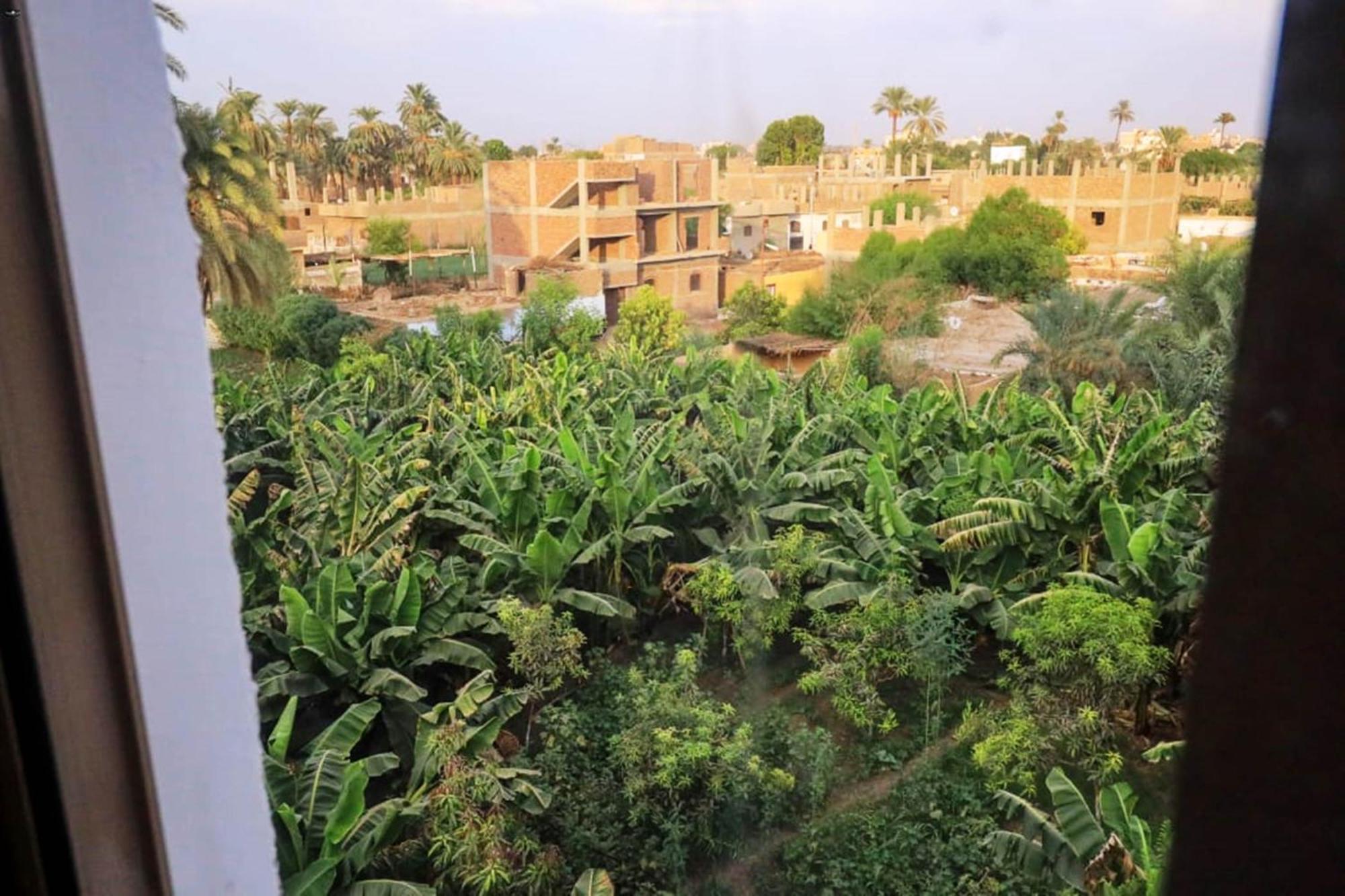 Luxor View Hostel المظهر الخارجي الصورة