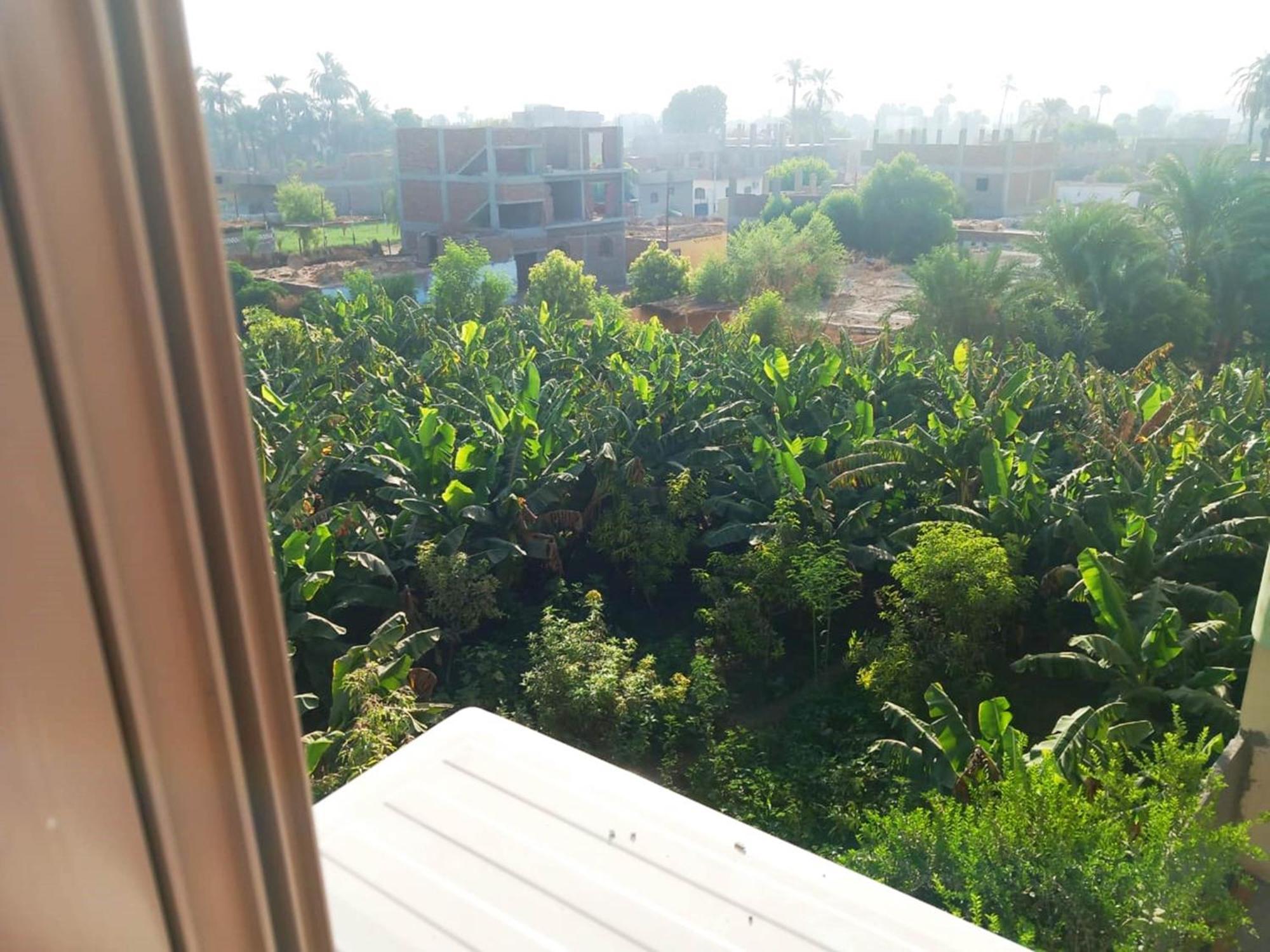 Luxor View Hostel المظهر الخارجي الصورة